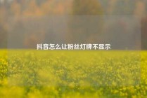 抖音怎么让粉丝灯牌不显示