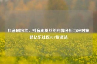 抖音刷粉丝，抖音刷粉丝的利弊分析与应对策略亿乐社区SUP货源站