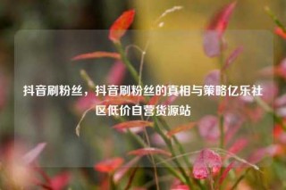 抖音刷粉丝，抖音刷粉丝的真相与策略亿乐社区低价自营货源站