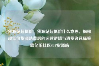 货源站超低价，货源站超低价什么意思，揭秘超低价货源站背后的运营逻辑与消费者选择策略亿乐社区SUP货源站