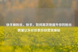 快手刷粉丝，快手，如何高效地提升你的粉丝数量亿乐社区低价自营货源站