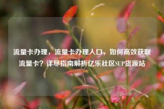 流量卡办理，流量卡办理入口，如何高效获取流量卡？详尽指南解析亿乐社区SUP货源站