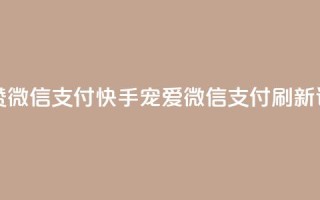 快手一秒5000赞微信支付 - 快手宠爱，微信支付刷新记录！!