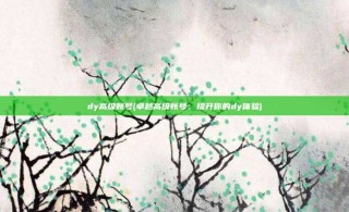 dy高级账号(卓越高级账号：提升你的dy体验)