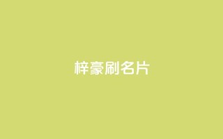 梓豪刷名片,卡盟qq业务最低价 - dy点赞充值秒到 - 自助下单全网最便宜