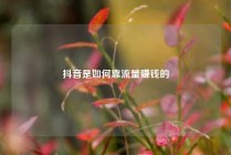 抖音是如何靠流量赚钱的