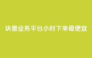 块兽业务平台24小时下单最便宜,ks业务免费涨赞 - qq业务在线下单 - 点赞下单平台