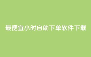 最便宜24小时自助下单软件下载,dy免费24小时下单平台 - 全网最低价卡盟 - 抖音低价网