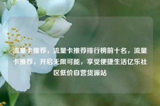 流量卡推荐，流量卡推荐排行榜前十名，流量卡推荐，开启无限可能，享受便捷生活亿乐社区低价自营货源站