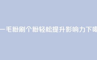ks刷一毛1000粉(ks刷1000个粉，轻松提升影响力)