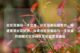 社区货源站一手货源，社区货源站超低价，构建繁荣社区经济，探索社区货源站与一手货源的新模式亿乐社区低价自营货源站