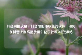 抖音刷播放量，抖音增加播放量的软件，如何在抖音上刷高播放量？亿乐社区SUP货源站
