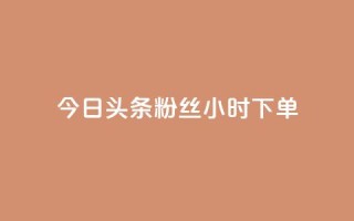 今日头条粉丝24小时下单,快手免费涨热度软件 - 自助下单在线云商城 - qqc十年沉淀官网下载