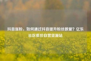 抖音涨粉，如何通过抖音提升粉丝数量？亿乐社区低价自营货源站