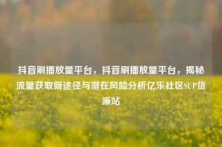 抖音刷播放量平台，抖音刷播放量平台，揭秘流量获取新途径与潜在风险分析亿乐社区SUP货源站