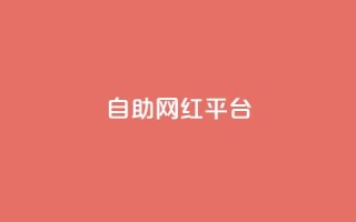 dy自助网红平台,qq空间电脑版登录入口 - 1元一百个赞作品快手成员 - 抖音推流机制和底层逻辑官方