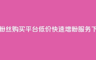 抖音粉丝购买平台：低价快速增粉服务