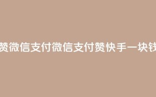 快手一块钱一百个赞微信支付 - 微信支付赞：快手一块钱一百个点赞!