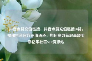抖音点赞充值链接，抖音点赞充值链接50赞，揭秘抖音官方充值通道，如何高效获取高额奖励亿乐社区SUP货源站