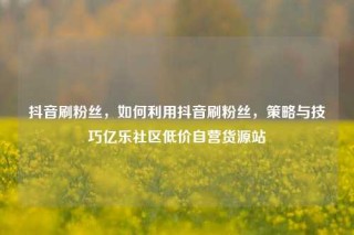 抖音刷粉丝，如何利用抖音刷粉丝，策略与技巧亿乐社区低价自营货源站