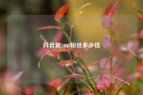 抖音刷1000粉丝多少钱