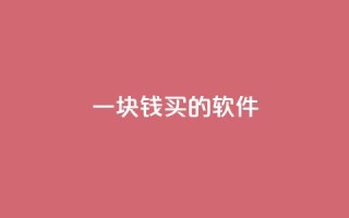 一块钱买的软件 - 抖音播放量黑科技app