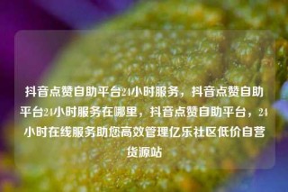 抖音点赞自助平台24小时服务，抖音点赞自助平台24小时服务在哪里，抖音点赞自助平台，24小时在线服务助您高效管理亿乐社区低价自营货源站