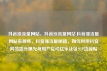 抖音涨流量网站，抖音涨流量网站,抖音涨流量网站有哪些，抖音涨流量秘籍，如何利用抖音网站提升曝光与用户互动亿乐社区SUP货源站