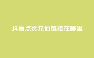 抖音点赞充值链接在哪里,抖音推广平台联系方式 - qq赞资料买 - 低价qq超级会员