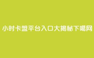 24小时卡盟平台入口大揭秘