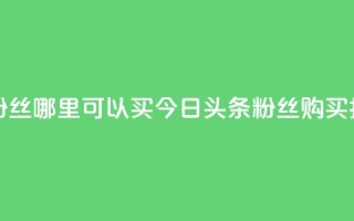 今日头条粉丝哪里可以买 - 今日头条粉丝购买指南!