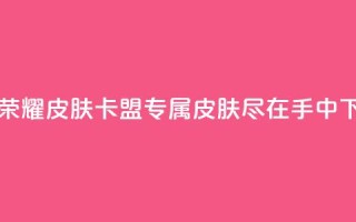 王者荣耀皮肤卡盟 专属皮肤尽在手中