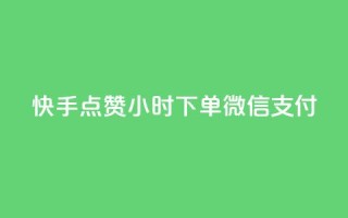 快手点赞24小时下单微信支付,雷神24小时自动下单平台 - 抖音评论业务 - 1元3000粉丝不掉粉丝
