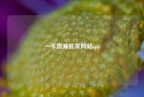 一手货源批发网站app