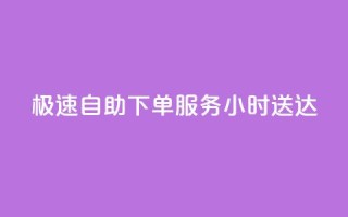 极速自助下单服务24小时送达