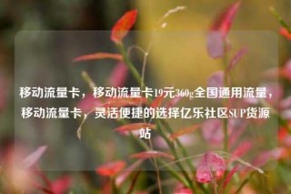 移动流量卡，移动流量卡19元360g全国通用流量，移动流量卡，灵活便捷的选择亿乐社区SUP货源站
