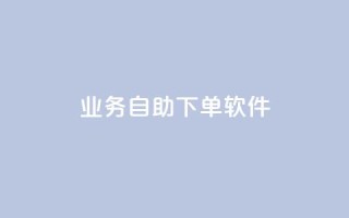 dy业务自助下单软件,ks24小时下单平台 - qq自动发卡网 - 彩虹代刷卡网