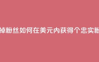 1元3000粉丝不掉粉丝 - 如何在1美元内获得3000个忠实粉丝？!