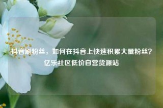 抖音刷粉丝，如何在抖音上快速积累大量粉丝？亿乐社区低价自营货源站