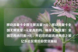 移动流量卡全国无限流量19元，移动流量卡全国无限流量19元是真的吗，畅享无限流量！全国范围内只需19元，开启您的超高速网络之旅亿乐社区低价自营货源站