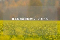 快手粉丝购买网站3元一万怎么买