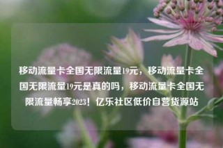 移动流量卡全国无限流量19元，移动流量卡全国无限流量19元是真的吗，移动流量卡全国无限流量畅享2023！亿乐社区低价自营货源站