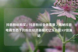 抖音粉丝购买，抖音粉丝业务套餐，揭秘抖音电商生态下的粉丝经济新模式亿乐社区SUP货源站
