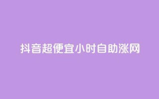 抖音超便宜24小时自助涨网,云商城自助下单业务 - QQ说说空间赞业务 - 抖音平台怎么推流量