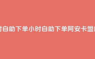阿安卡盟24小时自助下单 - 24小时自助下单！阿安卡盟新体验！~