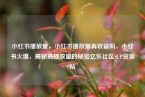 小红书播放量，小红书播放量有收益吗，小红书火爆，揭秘高播放量的秘密亿乐社区SUP货源站