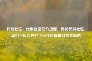 代刷社区，代刷社区低价货源，揭秘代刷社区，真相与风险并存亿乐社区低价自营货源站