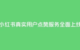 小红书真人点赞业务 - 小红书真实用户点赞服务全面上线，助力内容推广!