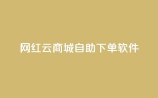 网红云商城自助下单软件,ks业务下单平台便宜 - 风速云商城24小时自助下单 - 刷快手打call亲密度