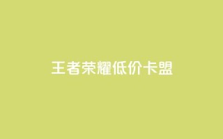 王者荣耀低价卡盟,qq绿钻永久卡盟 - QQ点赞卡盟 - 快手赞微信支付平台